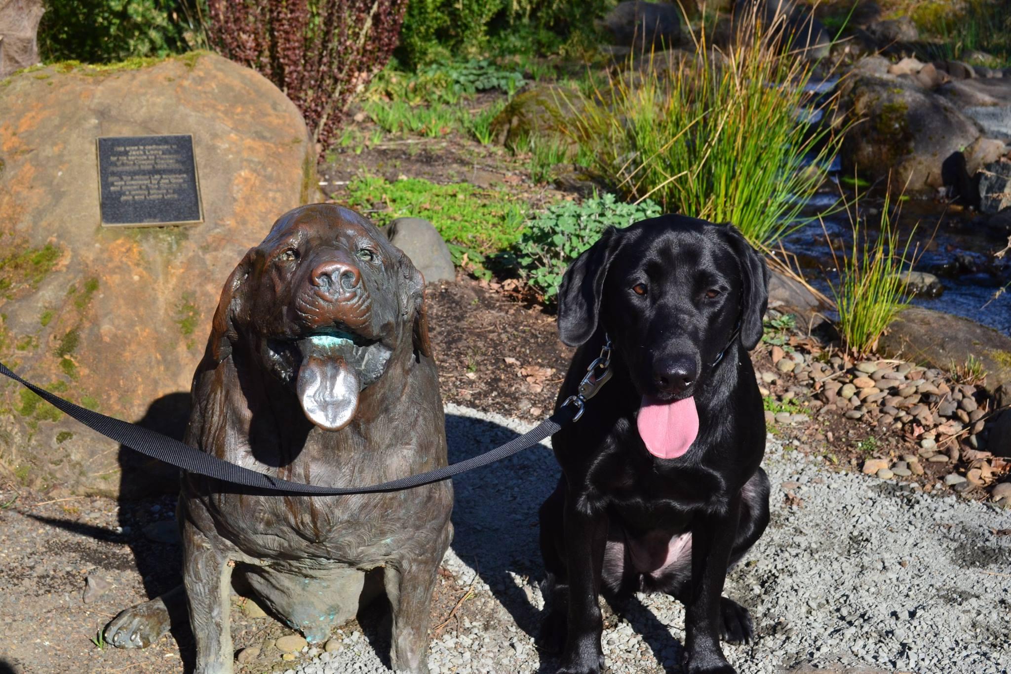 Dog Friendly Hiking Trails in Salem, OR BringFido