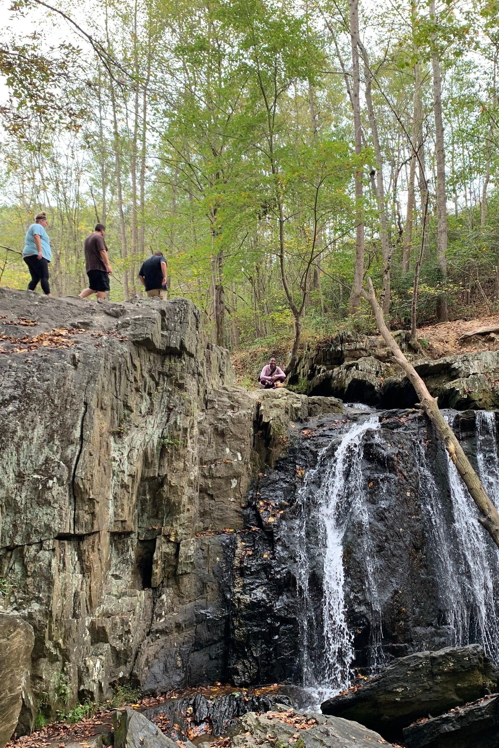 Pet Friendly Waterfall & Hike w an Outdoor Educator