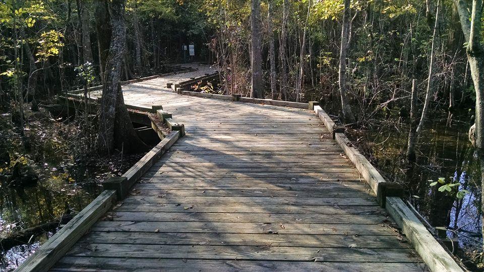 Moncks Corner