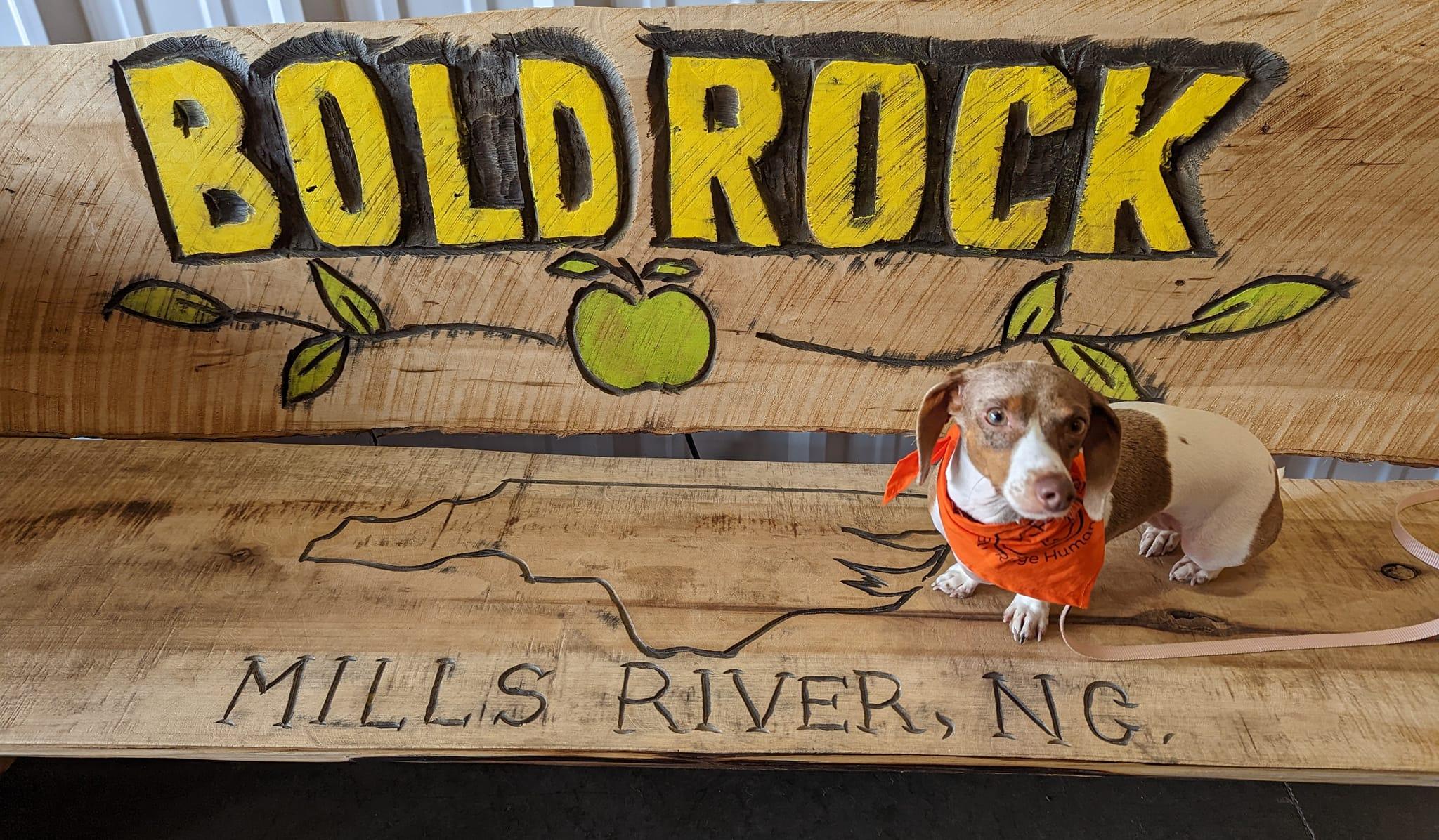 Pet Friendly Bold Rock Mills River Cidery