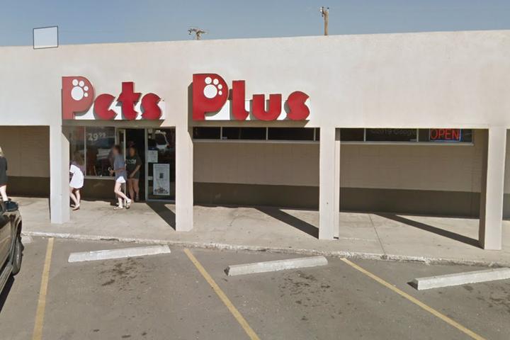 Dog Friendly Shopping in Lubbock TX BringFido