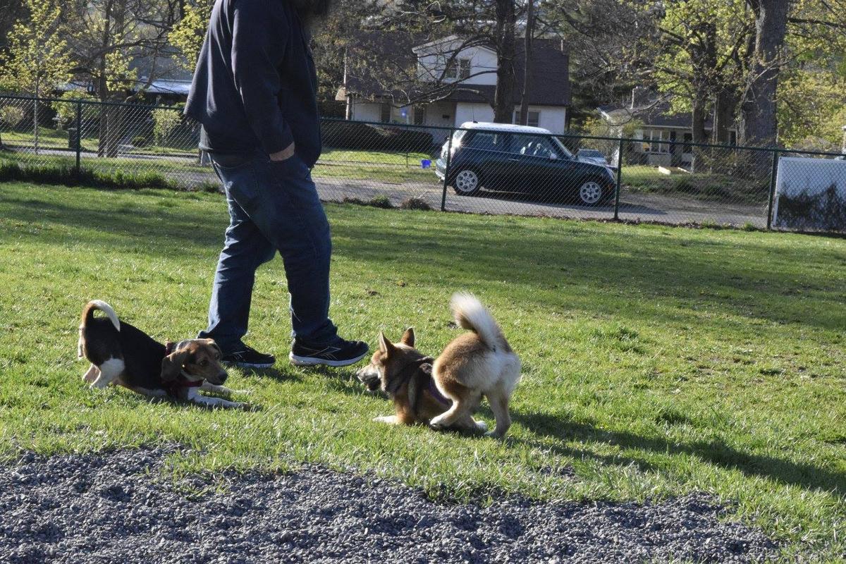 Connell Dog Park