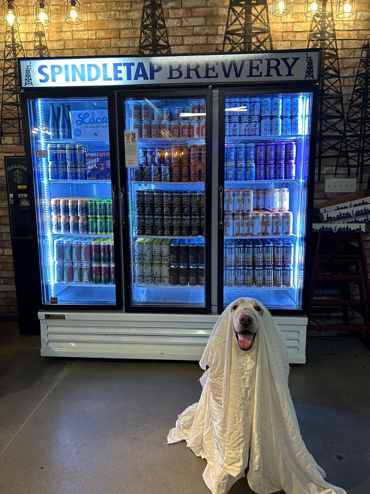 Pet Friendly Spindletap Brewery