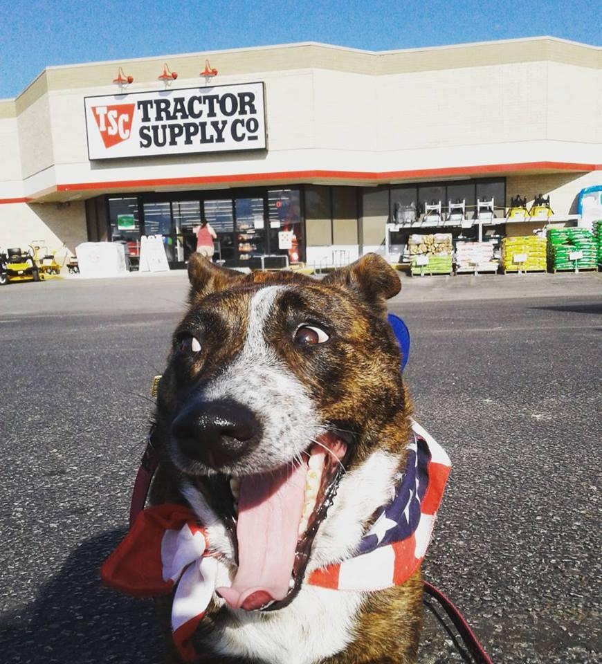 Tractor Supply Co.
