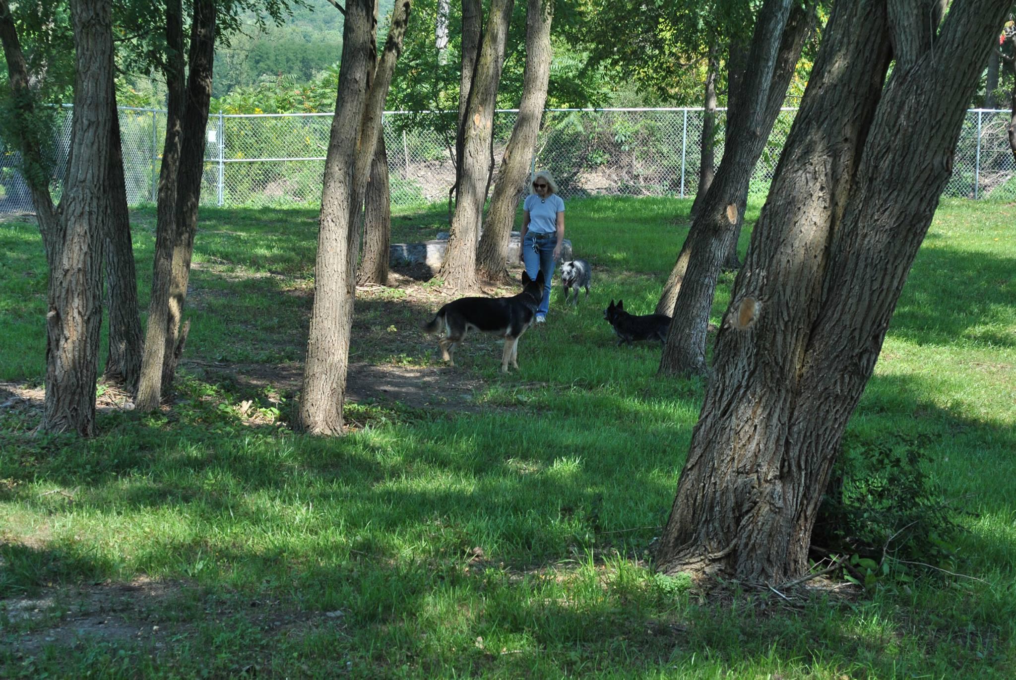 Pet Friendly The Dog Park at Happy Tails