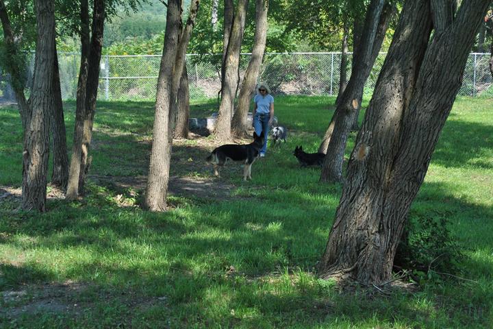 Pet Friendly The Dog Park at Happy Tails