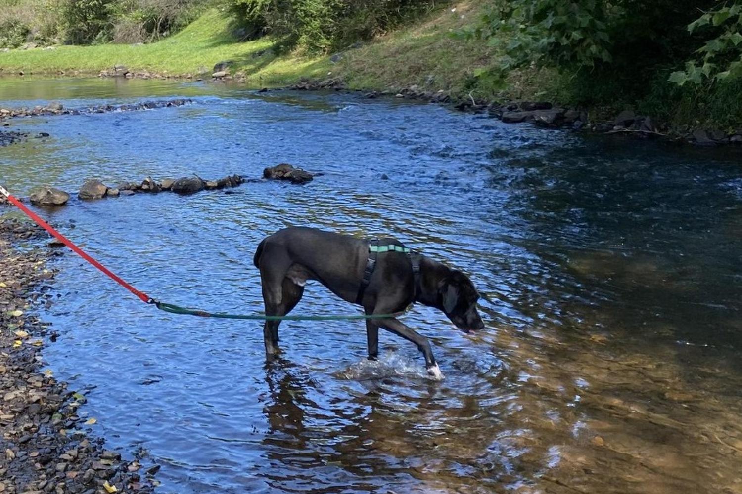 Yahoola Creek Park