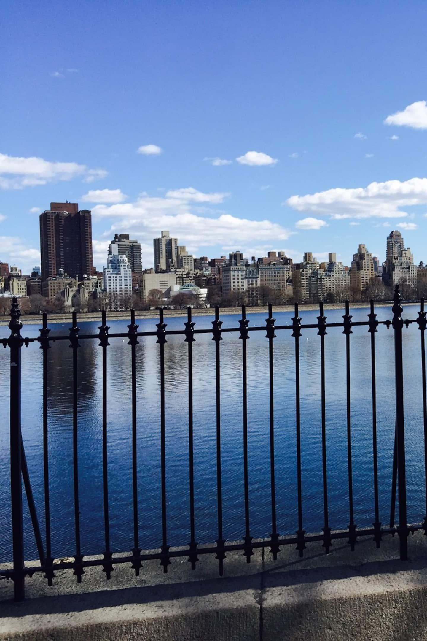 Pet Friendly Discover the Lesser Known Central Park