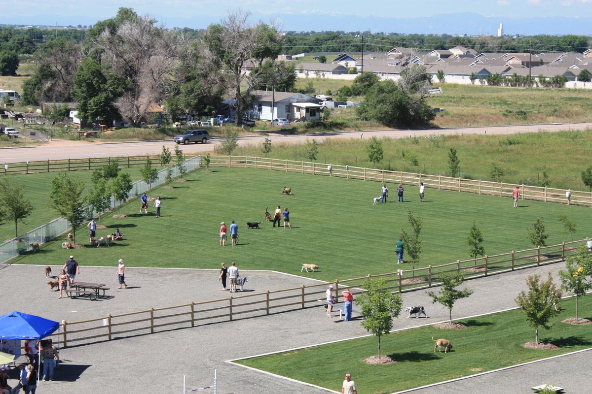 Freedom Dog Park