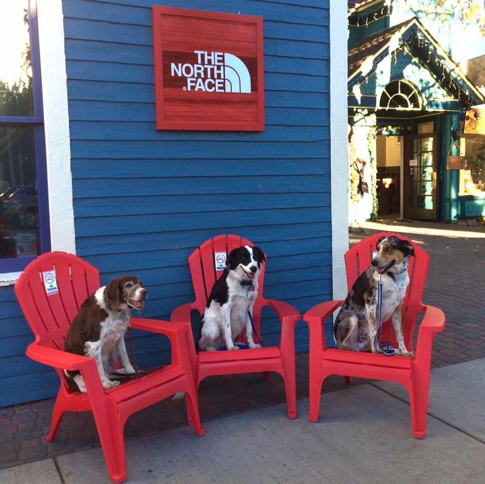 Dog Friendly Shopping in Breckenridge CO BringFido