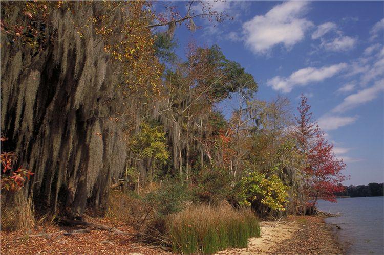 Florence Marina State Park