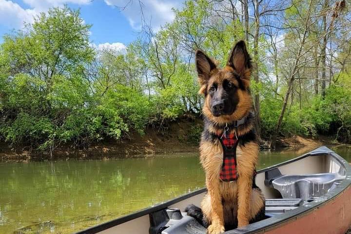 Pet Friendly Blue Moon Canoe and Kayak of Kentucky