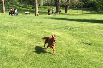 Off Leash Dog Parks In Fairborn Oh Bringfido