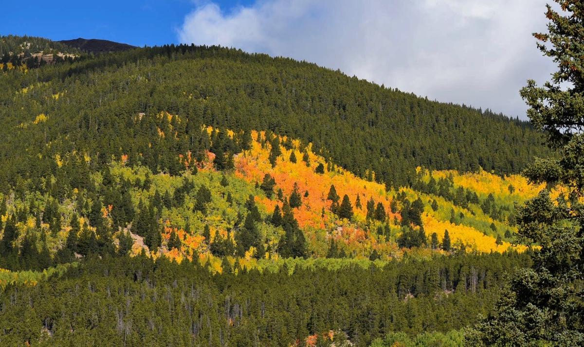 PikeSan Isabel National Forests & Cimarron and Comanche National