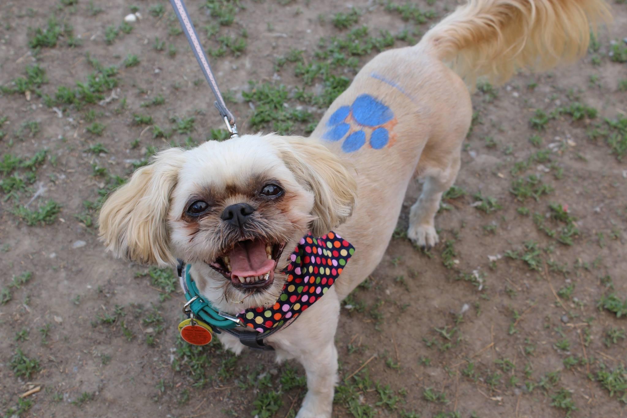 Pet Friendly Grand Valley Park