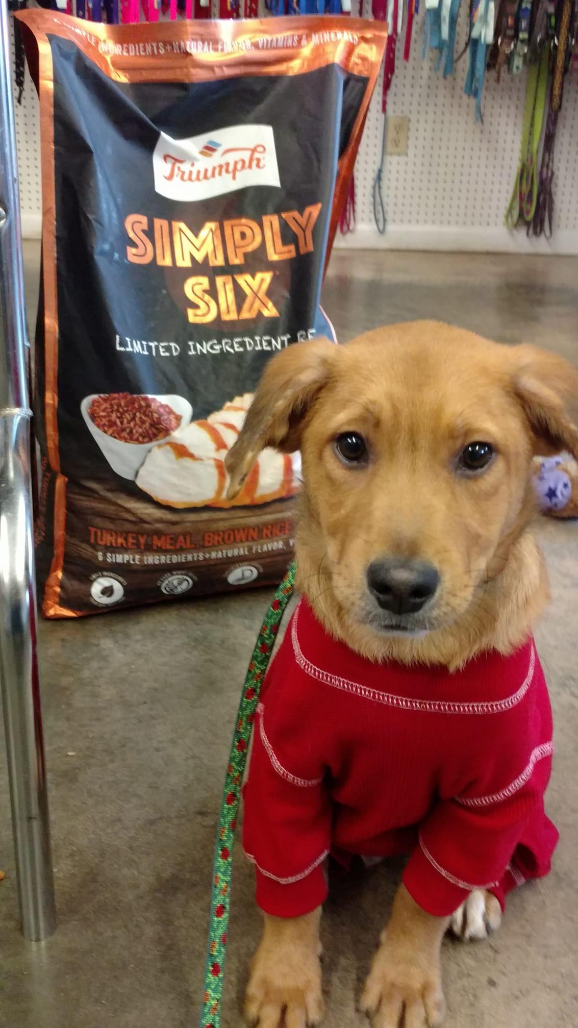 Triumph simply six dog food hotsell
