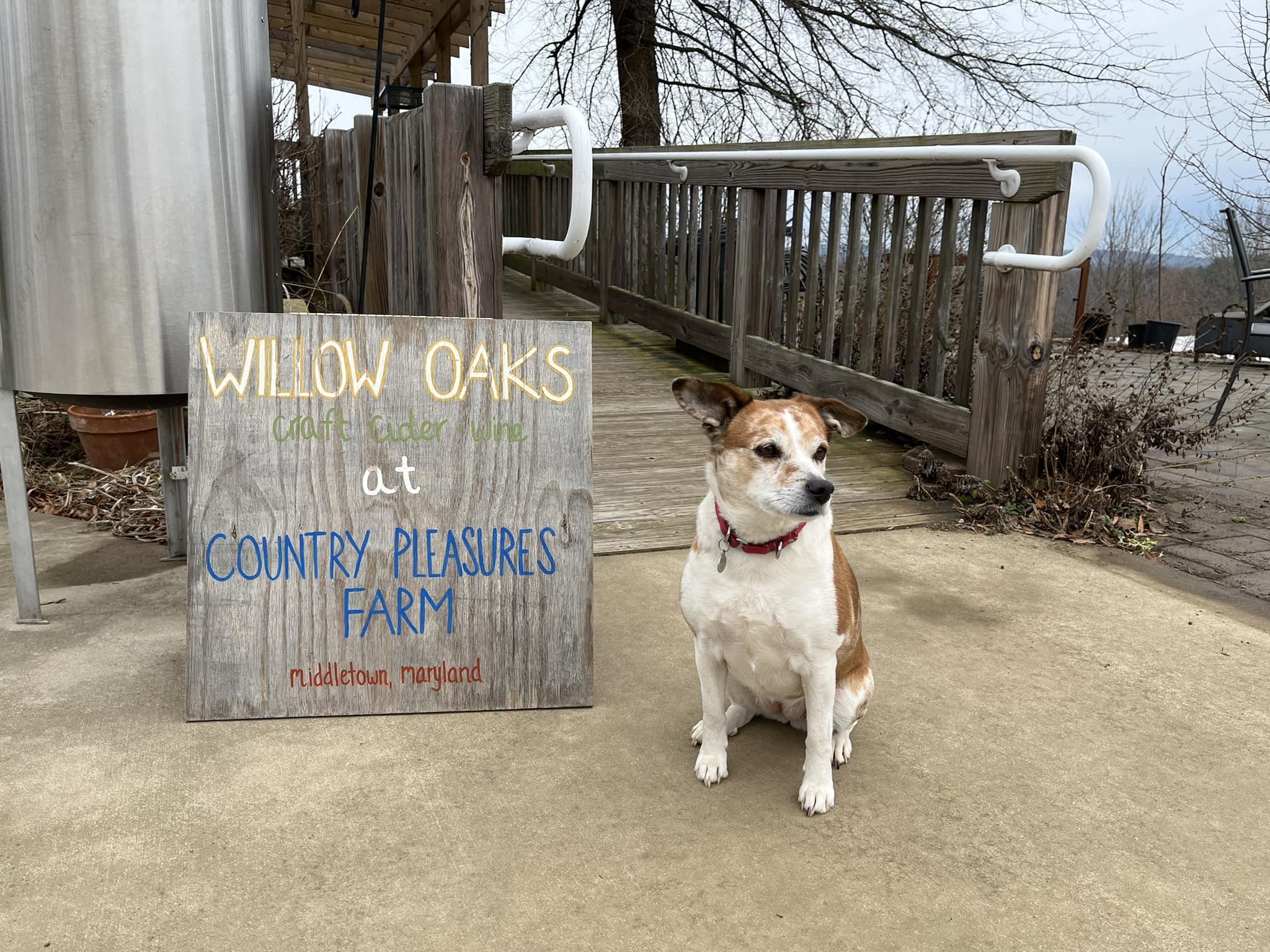 Pet Friendly Willow Oaks Craft Cider and Wine