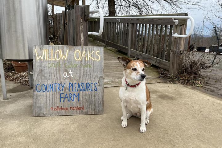 Pet Friendly Willow Oaks Craft Cider and Wine