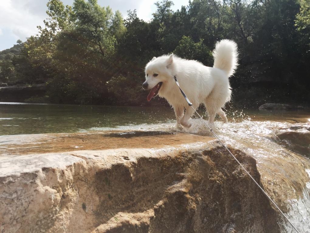 Bull Creek District Park