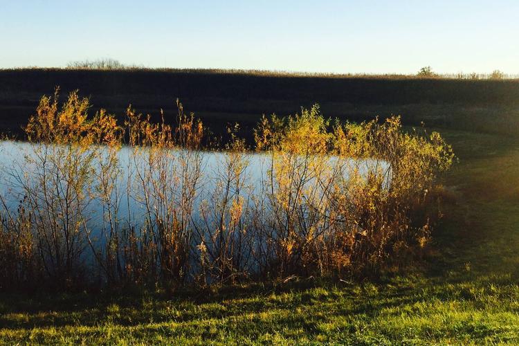 Voice of America Park