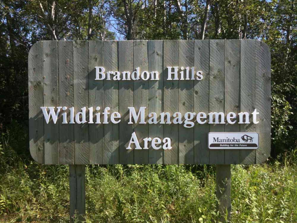Pet Friendly Brandon Hills Wildlife Conservation Area