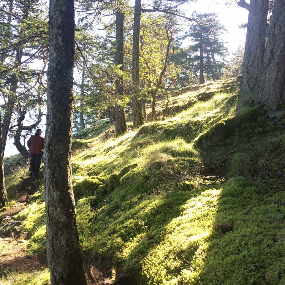 Salt Spring Island Hiking Trails