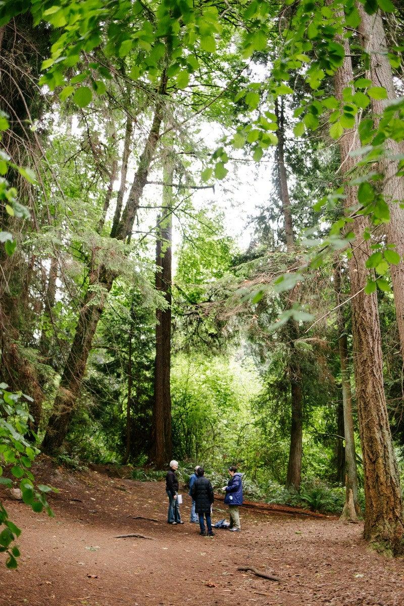 Pet Friendly Tranquil Old Growth Forest Walk