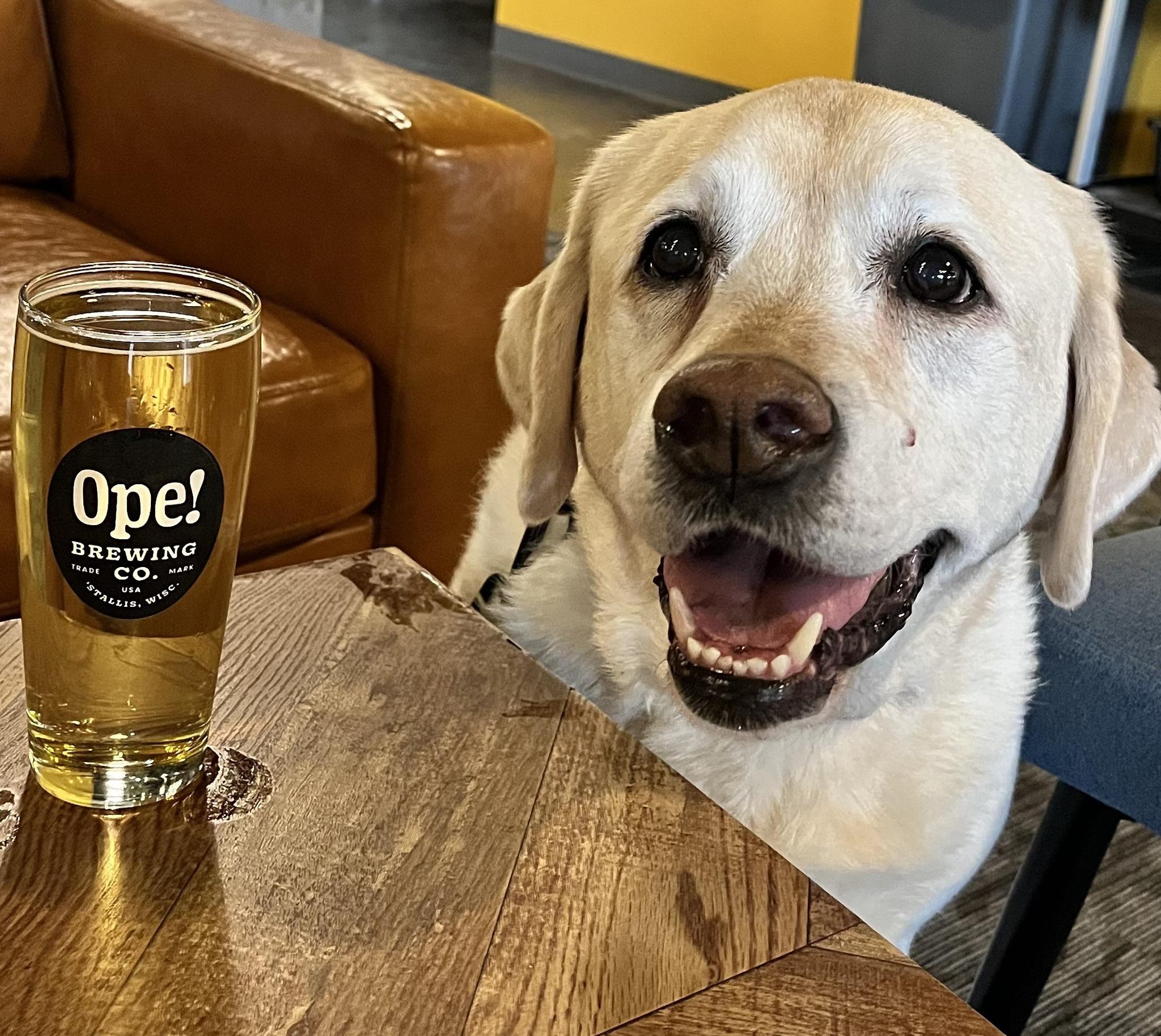Pet Friendly OPE! Brewing Co.