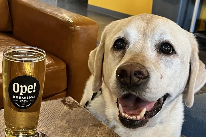 Pet Friendly OPE! Brewing Co.