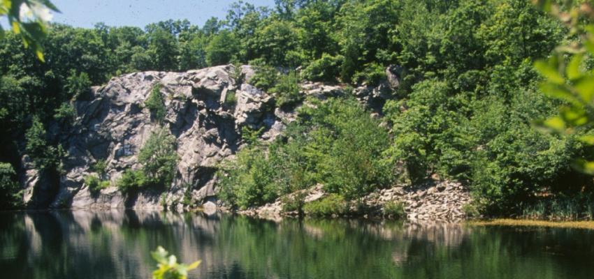 Pet Friendly Freetown-Fall River State Forest