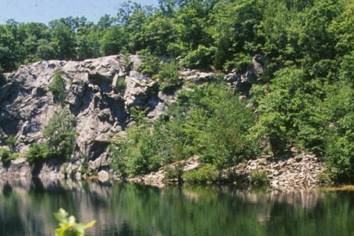 Pet Friendly Freetown-Fall River State Forest