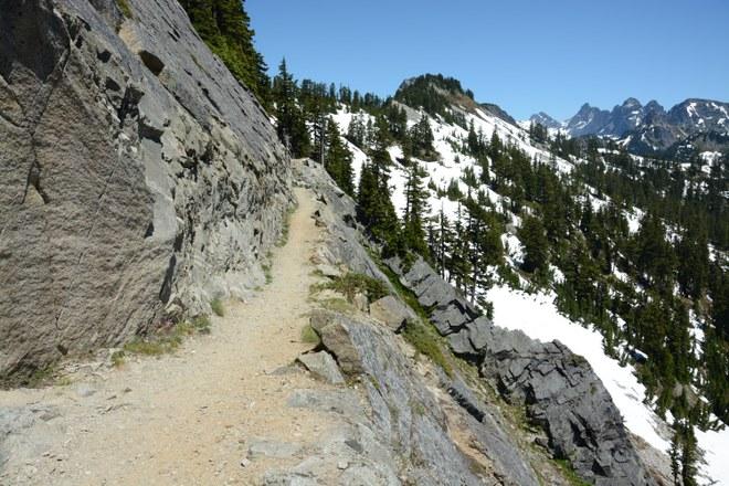 are dogs allowed at snoqualmie pass