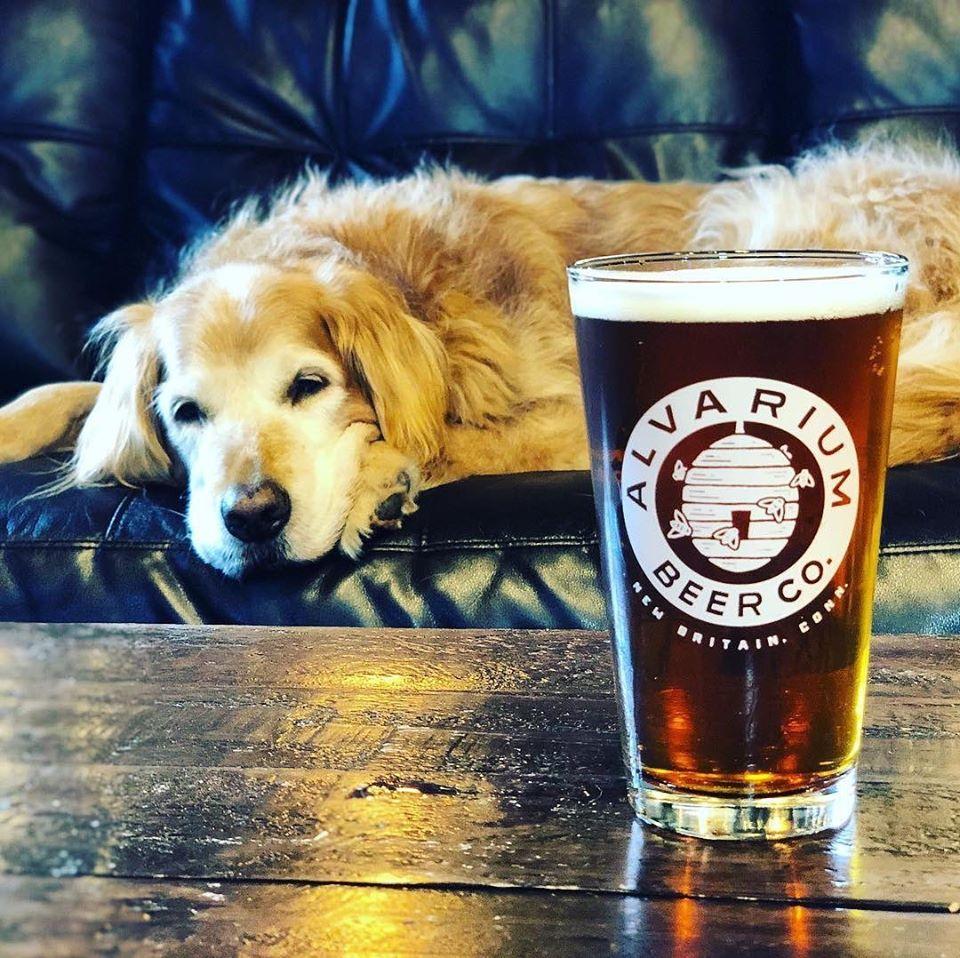 Pet Friendly Alvarium Beer Co.