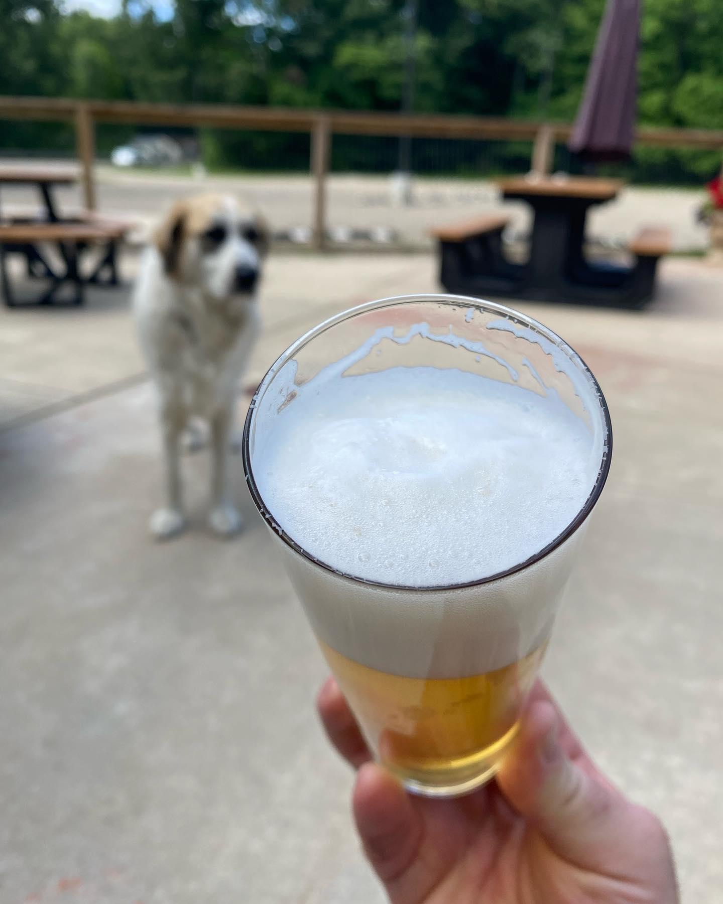 Pet Friendly Seedz Brewery