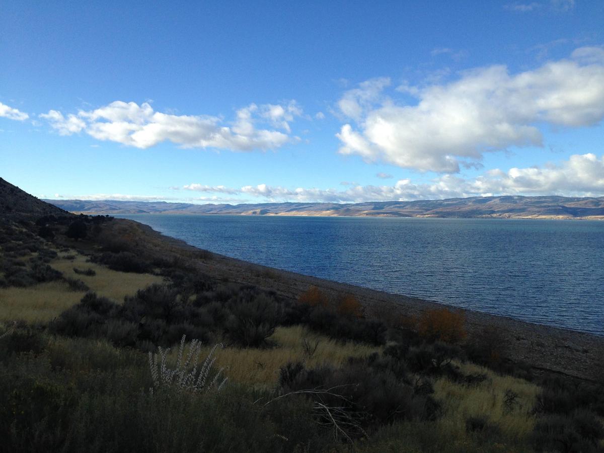 are dogs allowed at bear lake utah