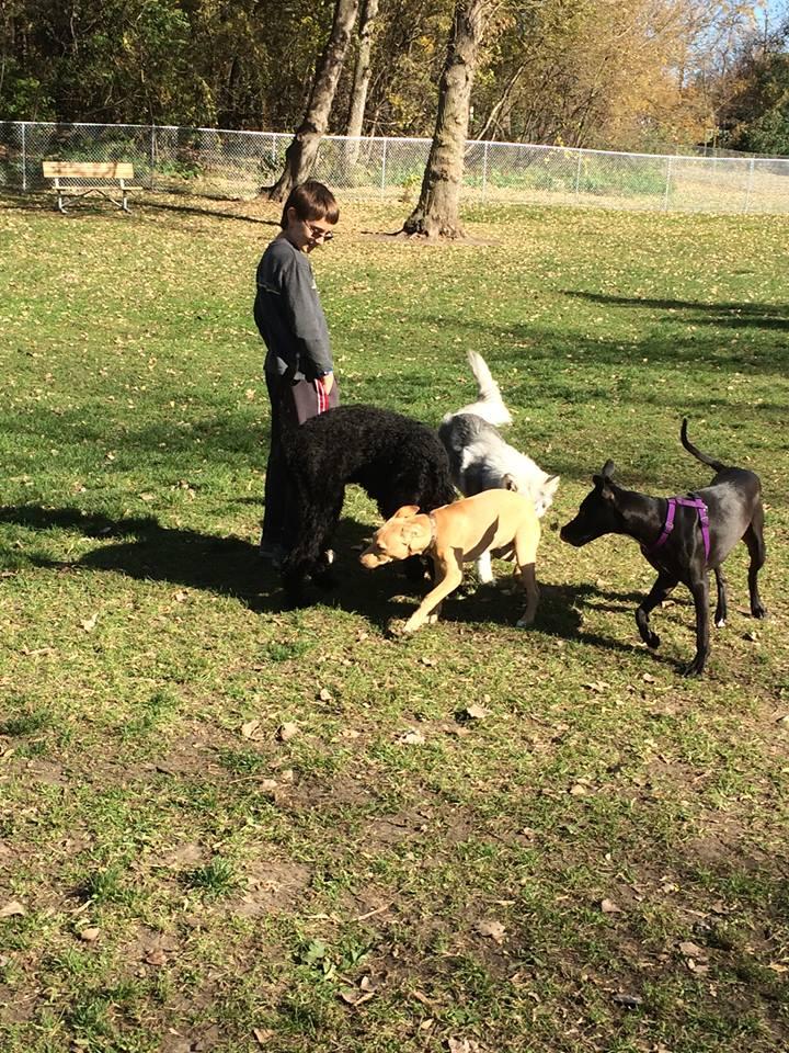 Albert Lea Community Dog Park at Brookside Park