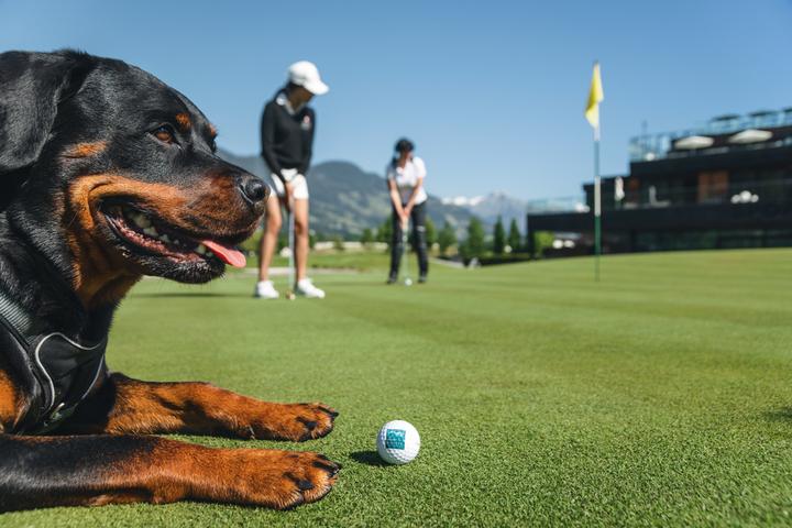 Pet Friendly Golf Club Zillertal - Uderns