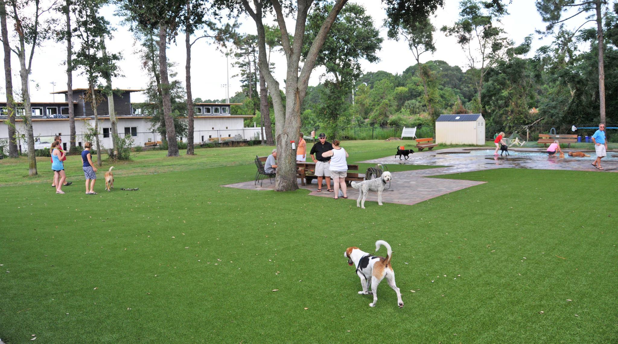 Pet Friendly Aurora's Dog Park at Nassau Humane Society