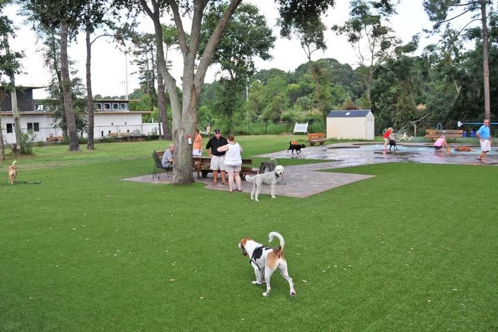 Pet Friendly Aurora's Dog Park at Nassau Humane Society