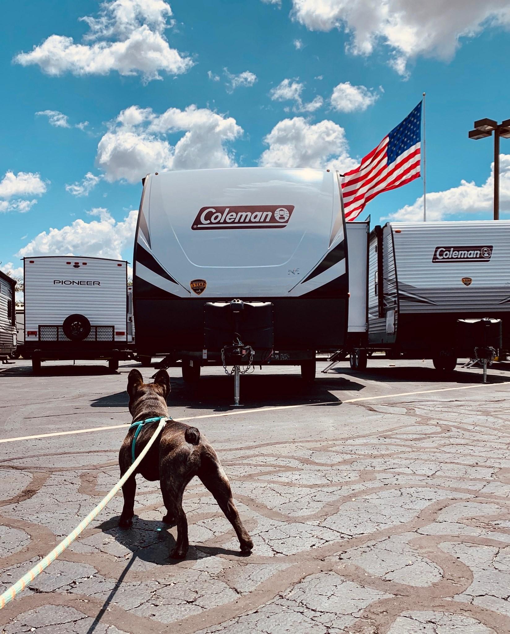 Pet Friendly Camping World of Indianapolis