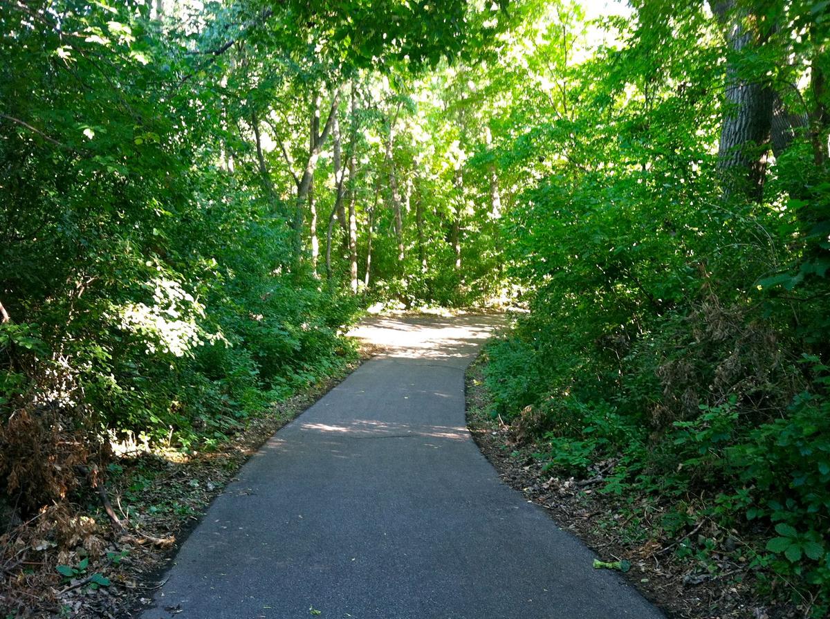 Off Leash Dog Parks In St Louis Park Mn Bringfido