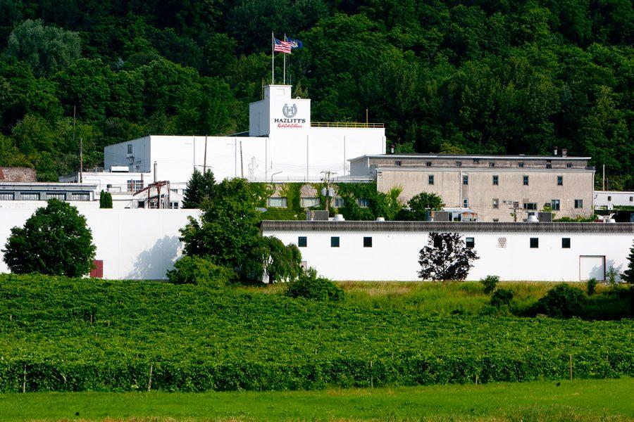 Hazlitt S Red Cat Cellars