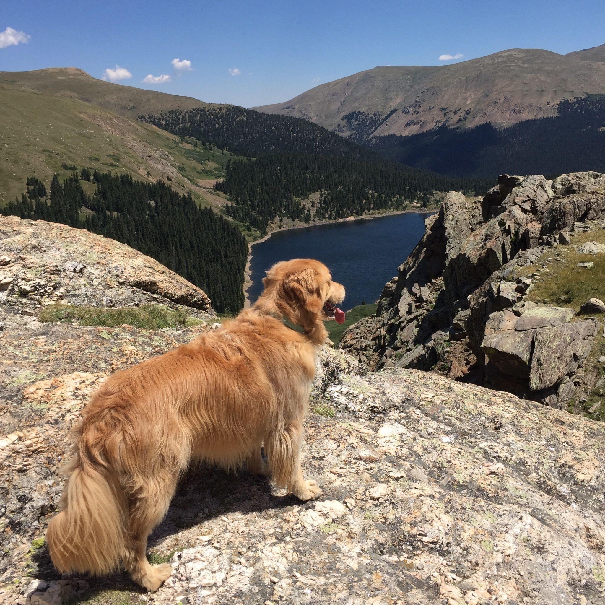 Pet Friendly Silver Dollar and Murray Lakes Trail
