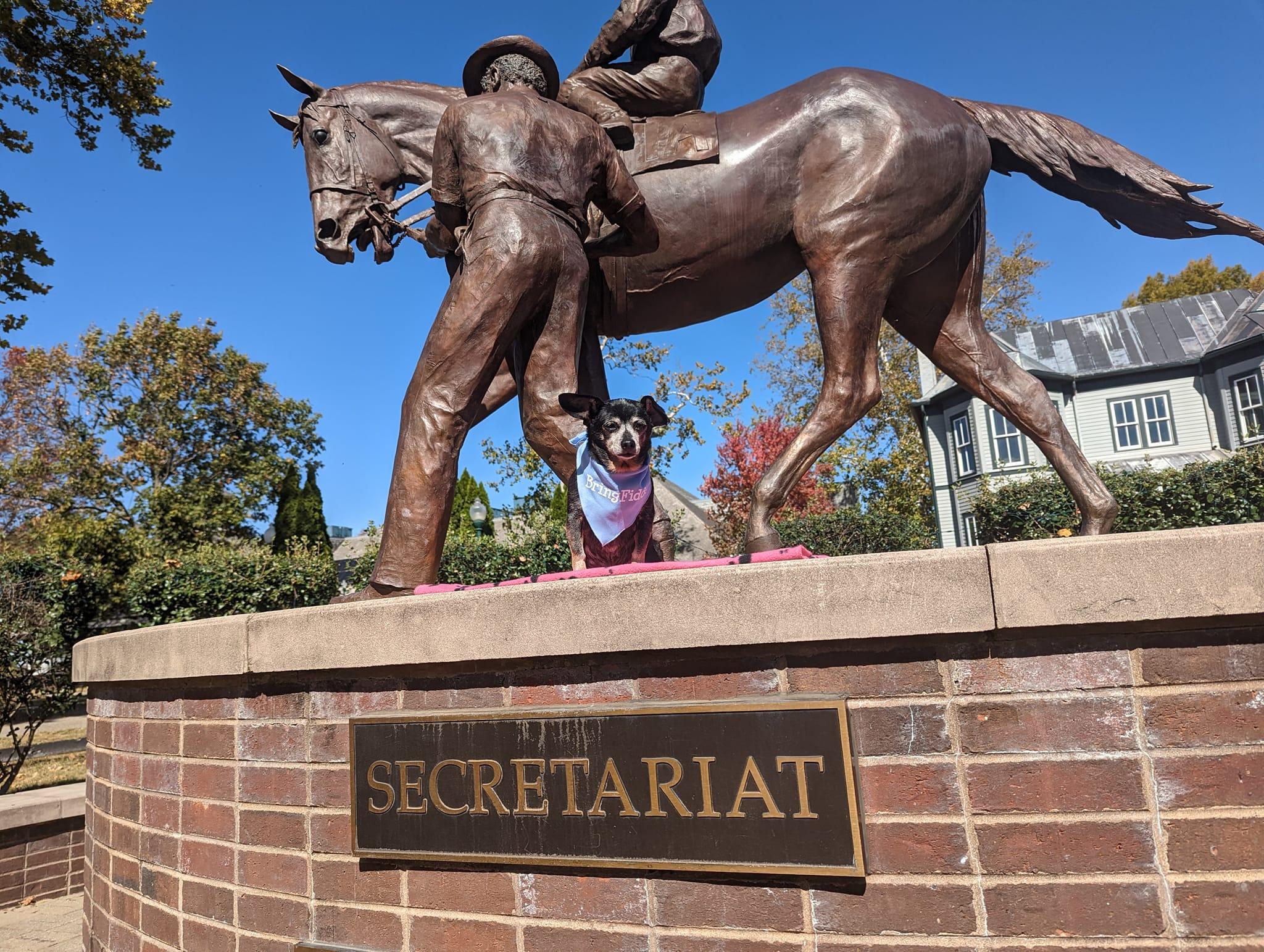 Pet Friendly Kentucky Horse Park