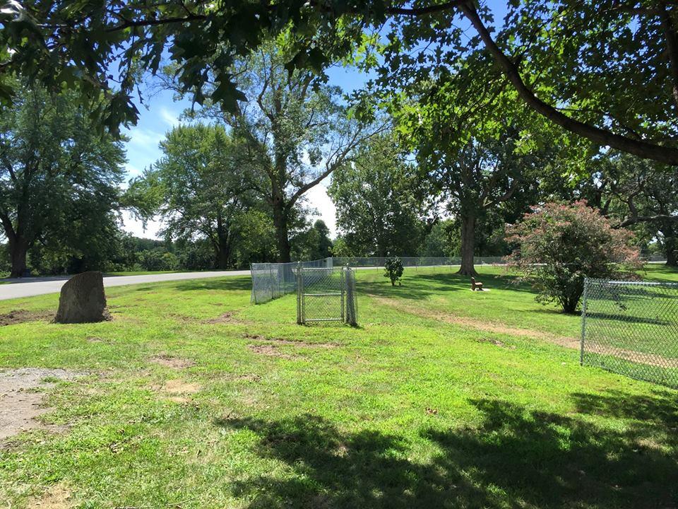 waggin tails bark park