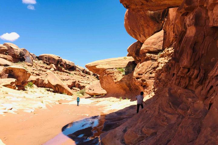 Pet Friendly Hike among Navajo Culture Homestead