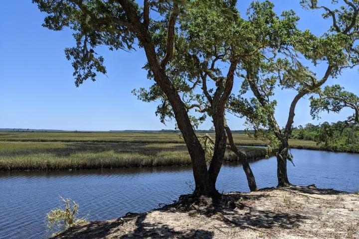 Pet Friendly St. Teresa Tract of Bald Point State Park