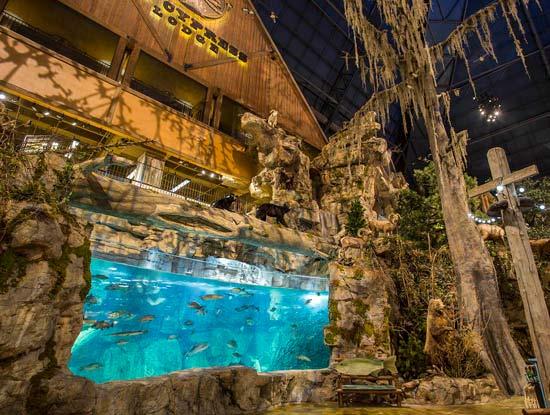 are-dogs-allowed-in-bass-pro-memphis