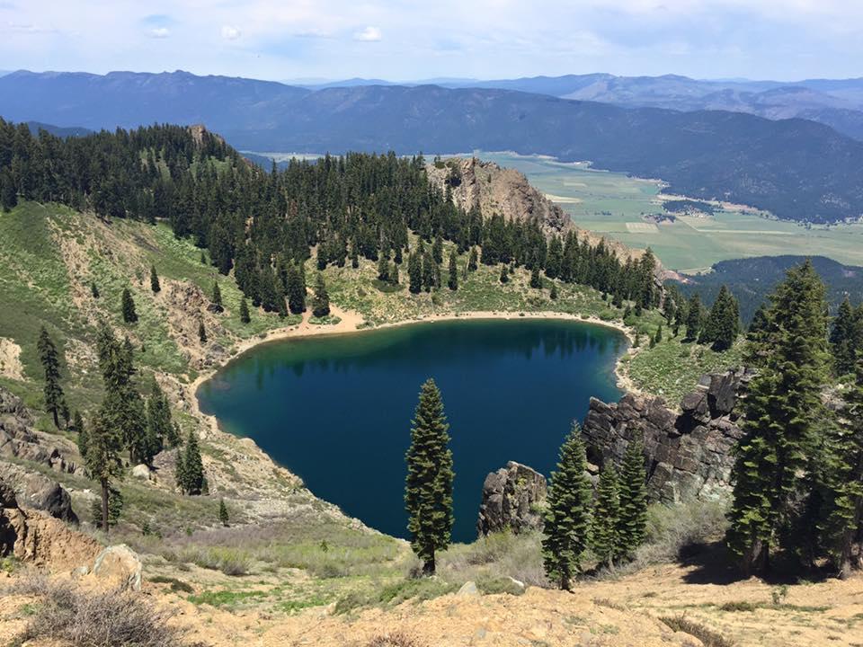 Are Dogs Allowed In Plumas National Forest
