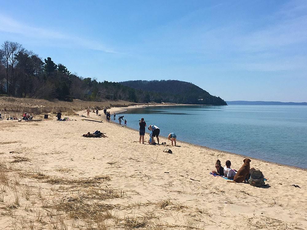 Pet Friendly Van's Beach